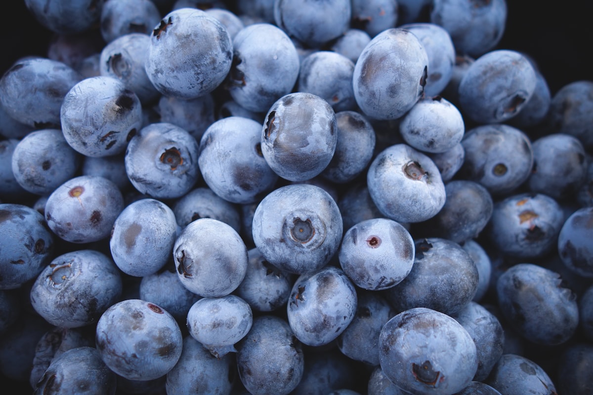 Cranberries puissantes pour les voies urinaires
